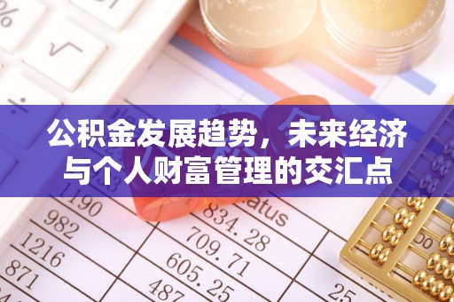 中区公积金发展趋势，未来经济与个人财富管理的交汇点