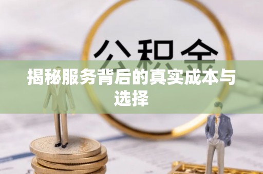 中区揭秘服务背后的真实成本与选择