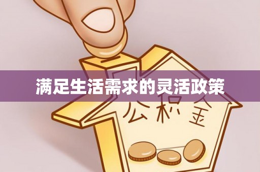 中区满足生活需求的灵活政策