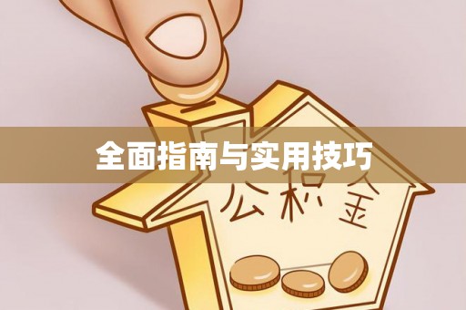 中区全面指南与实用技巧