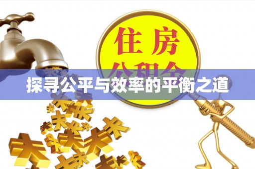 中区探寻公平与效率的平衡之道