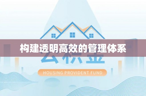 中区构建透明高效的管理体系