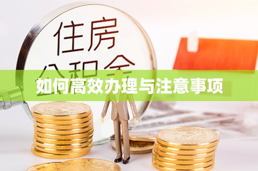 中区如何高效办理与注意事项