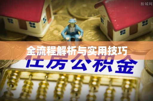 中区全流程解析与实用技巧