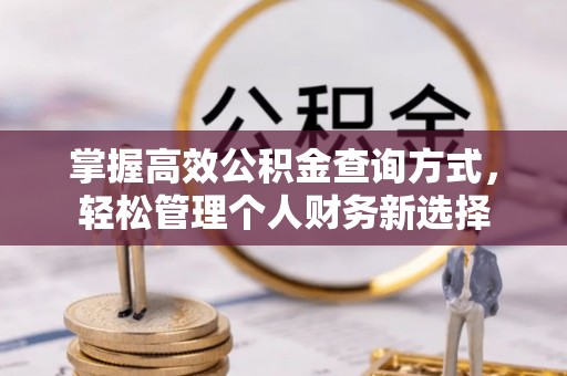 中区掌握高效公积金查询方式，轻松管理个人财务新选择