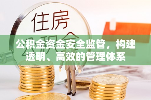 中区公积金资金安全监管，构建透明、高效的管理体系