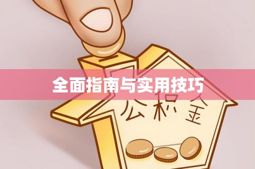 中区全面指南与实用技巧