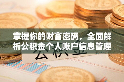 中区掌握你的财富密码，全面解析公积金个人账户信息管理与优化