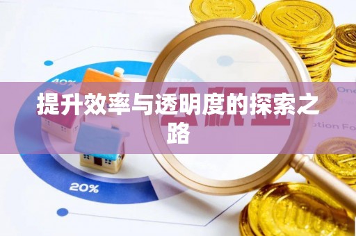 中区提升效率与透明度的探索之路