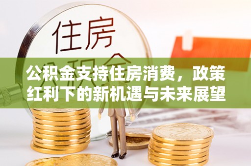 中区公积金支持住房消费，政策红利下的新机遇与未来展望