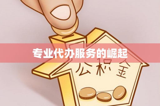 中区专业代办服务的崛起