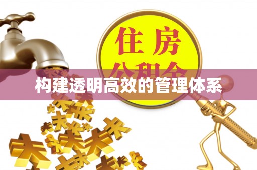 中区构建透明高效的管理体系