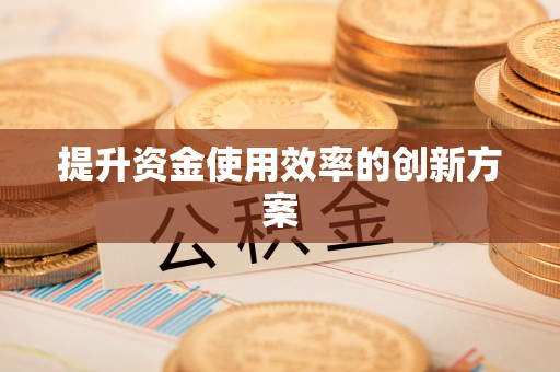 中区提升资金使用效率的创新方案