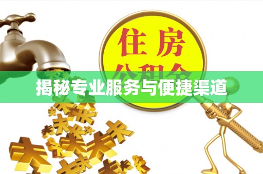 中区揭秘专业服务与便捷渠道