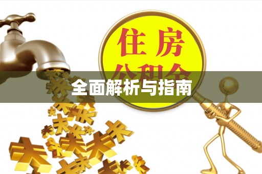 中区全面解析与指南