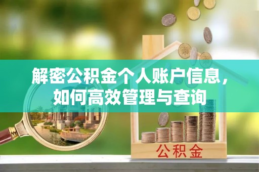 中区解密公积金个人账户信息，如何高效管理与查询