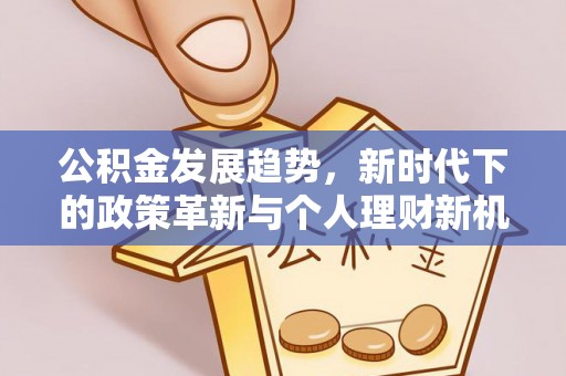 中区公积金发展趋势，新时代下的政策革新与个人理财新机遇