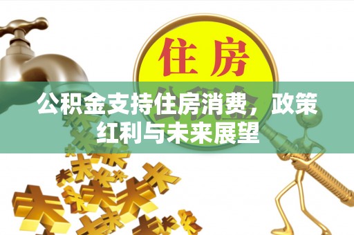 中区公积金支持住房消费，政策红利与未来展望