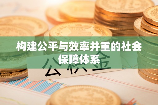 中区构建公平与效率并重的社会保障体系