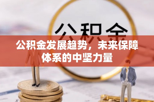 中区公积金发展趋势，未来保障体系的中坚力量
