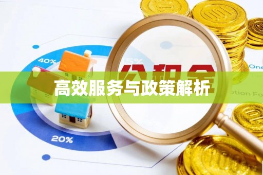 中区高效服务与政策解析