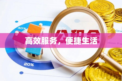 中区高效服务，便捷生活