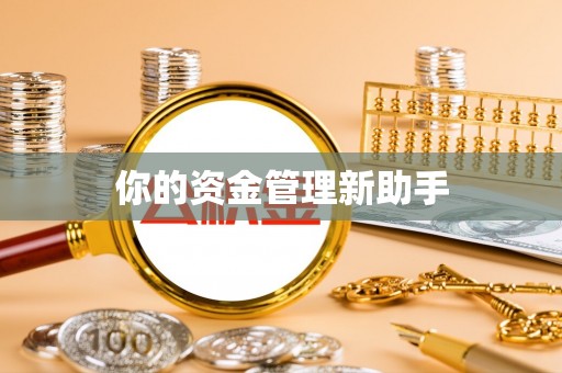 中区你的资金管理新助手