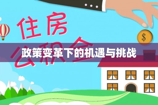 中区政策变革下的机遇与挑战