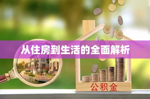 中区从住房到生活的全面解析