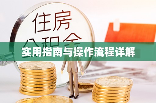 中区实用指南与操作流程详解