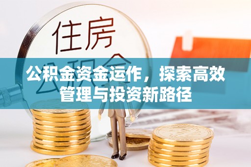 中区公积金资金运作，探索高效管理与投资新路径