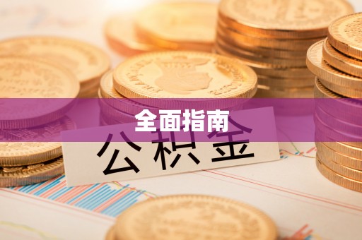 中区全面指南