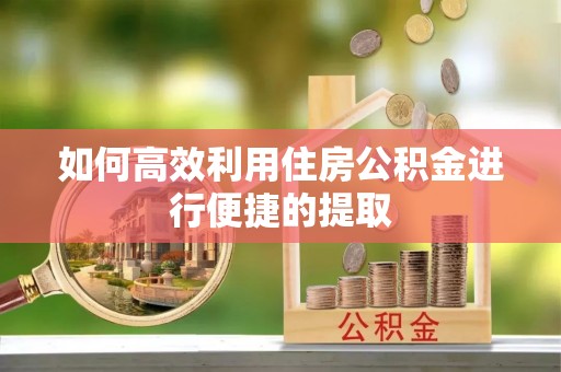 中区如何高效利用住房公积金进行便捷的提取