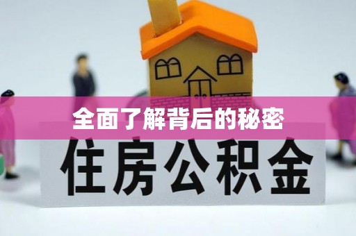 中区全面了解背后的秘密