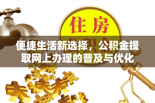 中区便捷生活新选择，公积金提取网上办理的普及与优化