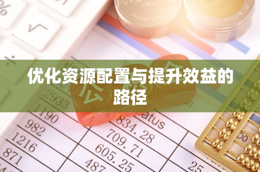 中区优化资源配置与提升效益的路径