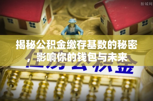 中区揭秘公积金缴存基数的秘密，影响你的钱包与未来