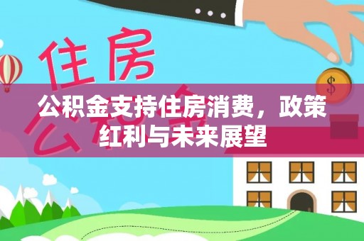 中区公积金支持住房消费，政策红利与未来展望