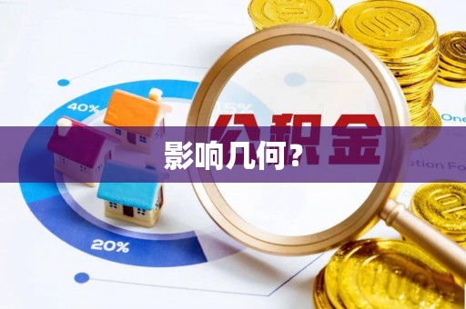 中区影响几何？
