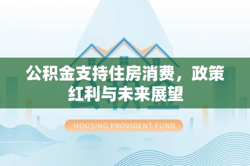 中区公积金支持住房消费，政策红利与未来展望