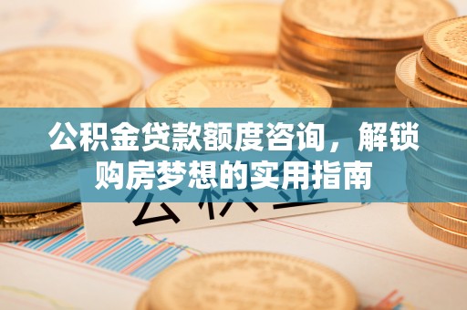 中区公积金贷款额度咨询，解锁购房梦想的实用指南