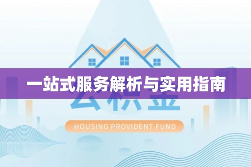 中区一站式服务解析与实用指南