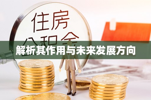 中区解析其作用与未来发展方向