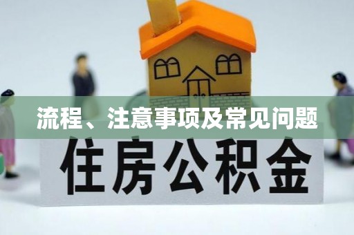 中区流程、注意事项及常见问题