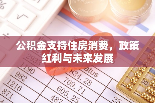 中区公积金支持住房消费，政策红利与未来发展