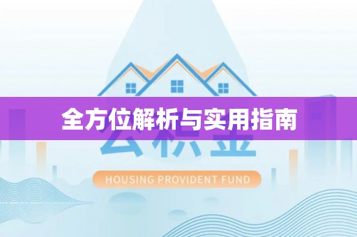 中区全方位解析与实用指南