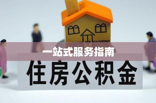 中区一站式服务指南