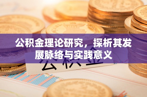 中区公积金理论研究，探析其发展脉络与实践意义
