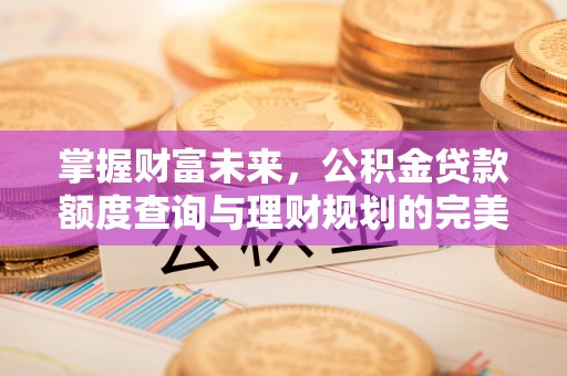 中区掌握财富未来，公积金贷款额度查询与理财规划的完美结合