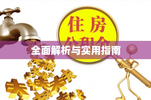 中区全面解析与实用指南